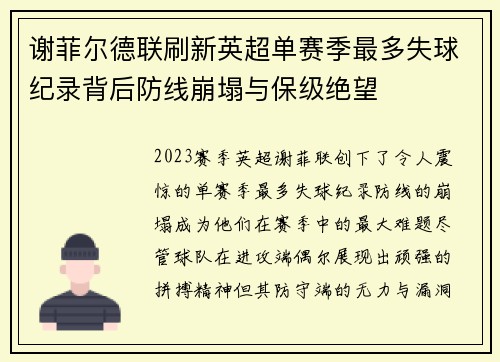 谢菲尔德联刷新英超单赛季最多失球纪录背后防线崩塌与保级绝望 谢菲尔德联刷新英超单赛季最多失球纪录背后防线崩塌与保级绝望